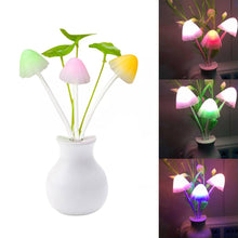 LED mushroom night light with auto sensor.